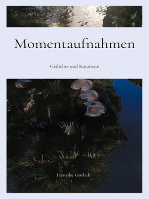 cover image of Momentaufnahmen